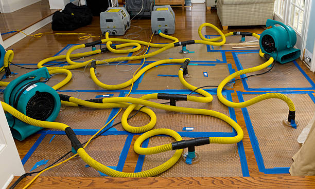 Professional Crawl Space Water Removal technician working in Hugo, MN
